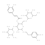 松果菊苷