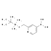 B-[2-[[[[(1,1-二甲基乙基)二甲基甲硅烷基]氧基]甲基]-4-吡啶基]-硼酸