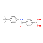 4-Borono-N-(4-tert-butyl-phenyl)-benzamide