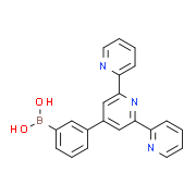4'-(3-硼酸基)-2,2':6',2''三聯吡啶