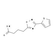 4-[3-(2-Thienyl)-1,2,4-oxadiazol-5-yl]-butanoic acid