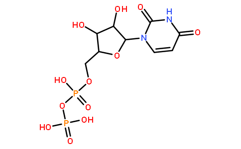 5'-URIDYLATE DIPHOSPHATE