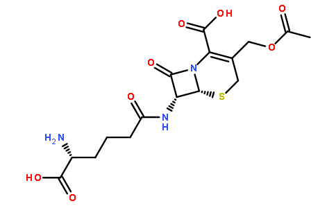 头孢菌素 c结构式