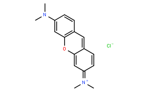二苯氧杂已胺G（派洛宁Y）