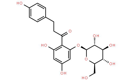 根皮苷,二水