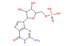 鸟苷5'-单磷酸水合物