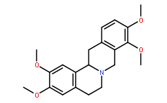 右旋四氫巴馬汀