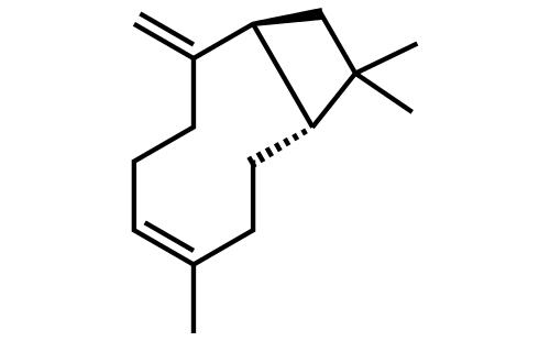 石竹烯