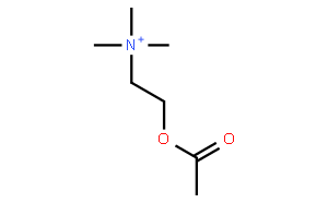 乙酰氯化胆碱