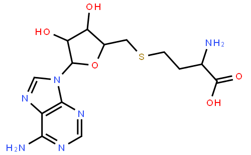 S-Adenosyl homocysteine