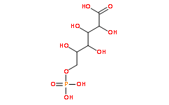 6-磷酸葡萄糖鋇鹽