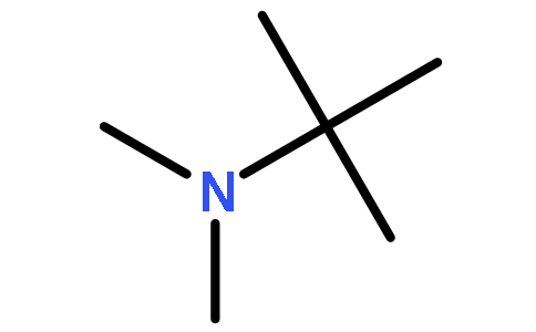 tert-Butyldimethylamine