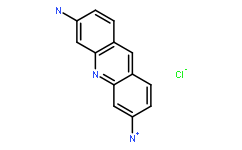 鹽酸前黃素