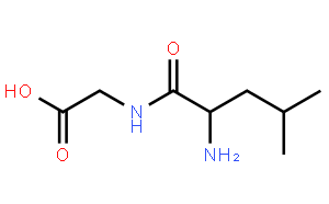 D-亮氨酰甘氨酸