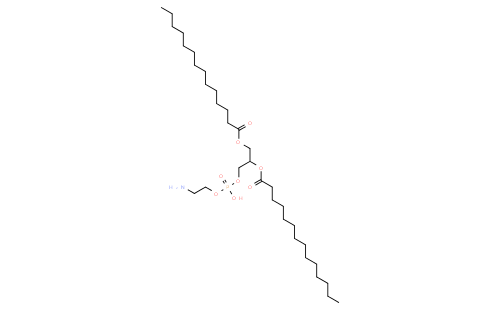 1,2-dimyristoyl-sn-glycero-3-phosphoethanolamine