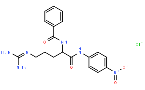 Na-苯甲酰-DL-精氨酸-對(duì)硝基酰胺鹽酸鹽