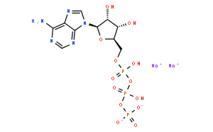 腺苷-5'-三磷酸二钠盐(ATP)