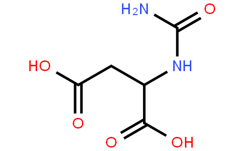 N-氨基甲酰基-DL-天冬氨酸
