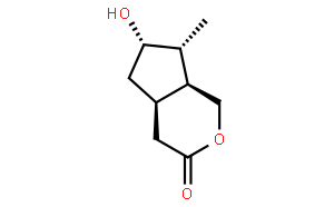 Isoboonein