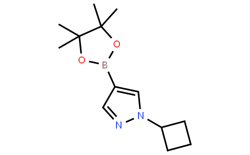 1-Cyclobutyl-4-(4,4,5,5-tetramethyl-1,3,2-dioxaborolan-2-yl)-1H-pyrazole