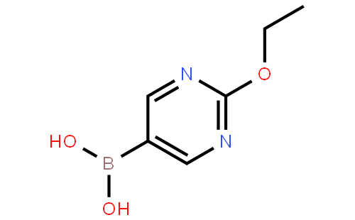 (2-Ethoxypyrimidin-5-yl)boronic acid