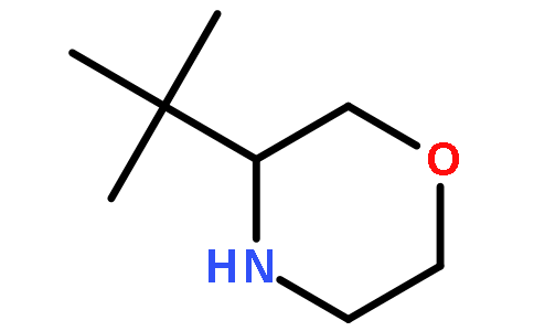 (S)-3-(tert-butyl)morpholine