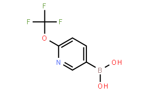 6-(Trifluoromethoxy)pyridine-3-boronic acid