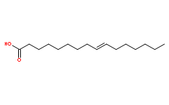 反式-9-十六碳烯酸