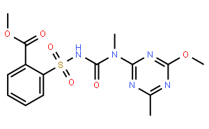 tribenuron methyl