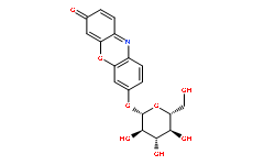 试卤灵β-D-吡喃葡萄糖苷