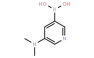 B-[5-(dimethylamino)-3-pyridinyl]-Boronic acid