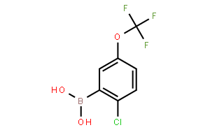 2-氯-5-三氟甲氧基苯硼酸