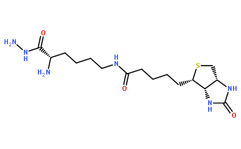 Biocytin hydrazide