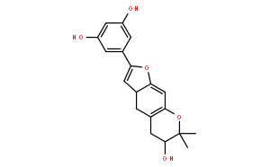 MoracinP