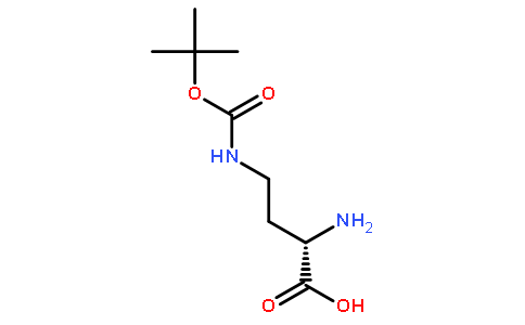 H-Dab(Boc)-OH