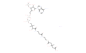 (DL-3-羟基-3-甲基戊二酰)辅酶A二钠盐