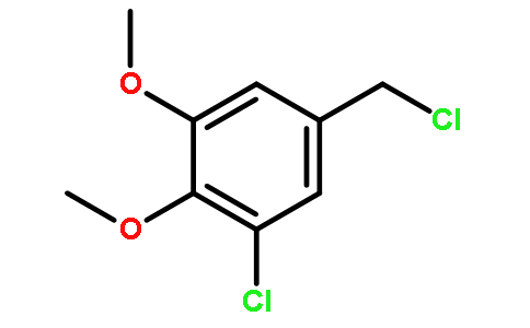 1-chloro-5-(chloromethyl)-2,3-dimethoxybenzene