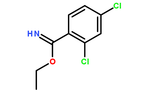 ethyl 2,4-dichlorobenzenecarboximidate