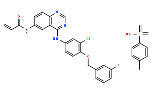 N-[4-[[3-氯-4-[(3-氟苯基)甲氧基]苯基]氨基]-6-喹唑啉基]-2-丙烯酰胺对甲苯磺酸盐