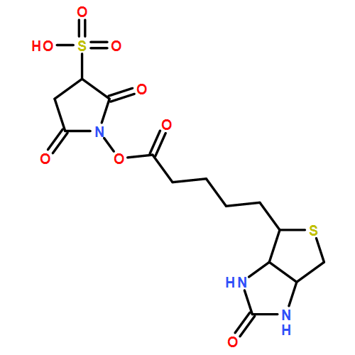 生物素-n-羟基磺酸基琥珀酰亚胺酯