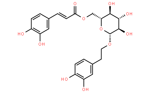木通苯乙醇苷B