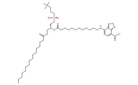 NBD-C12-HPC [2-(12-(7-Nitrobenz-2-oxa-1,3-diazol-4-yl)amino)dodecanoyl-1-hexadecanoyl-sn-glycero-3-phosphocholine]