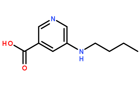 3-Pyridinecarboxylic Acid, 5-(Butylamino)-