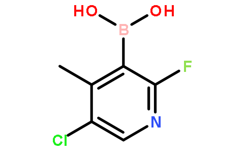 5-Chloro-2-fluoro-4-methylpyridne-3-boronic acid