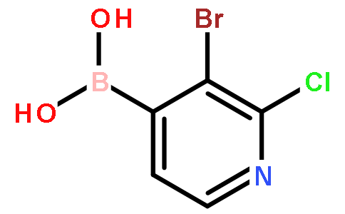 3-Bromo-2-chloropyridine-4-boronic acid
