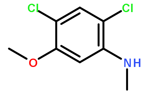 2,4-Dichloro-5-methoxy-N-methylaniline