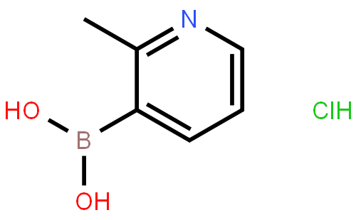 2-Methylpyridine-3-boronic acid HCl salt