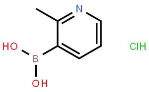 2-甲基吡啶-3-硼酸鹽酸鹽