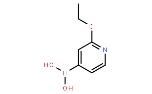 2-乙氧基吡啶-4-硼酸