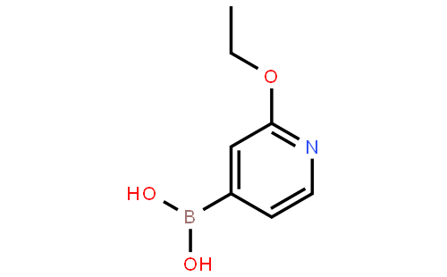 2-乙氧基吡啶-4-硼酸